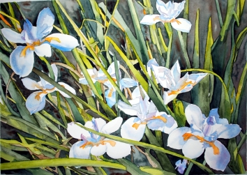 Japanese Iris, in progress painting. Working to develop the depth so that the flowers will pop forward. This is an example of several works I improving.